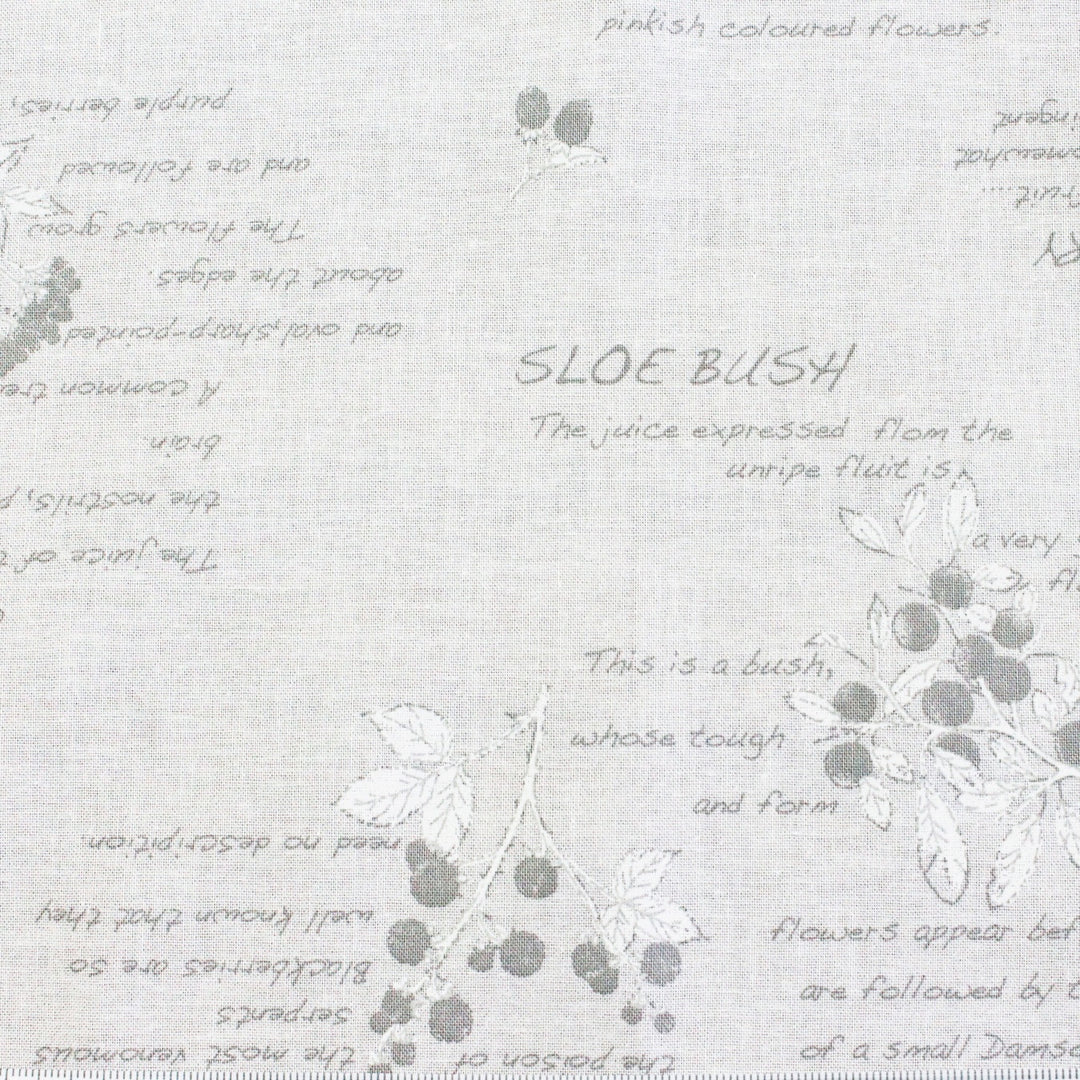 Botanical Sketches