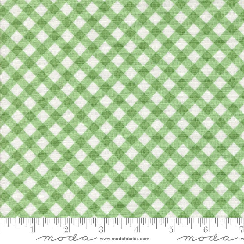 Summertime Picnic in Green