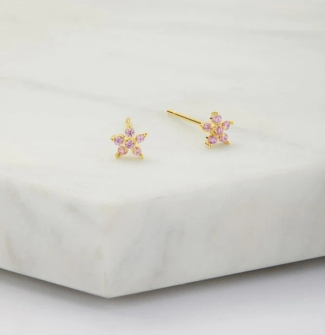 Amelia Stud Earring in Sterling Silver and Gold Plate