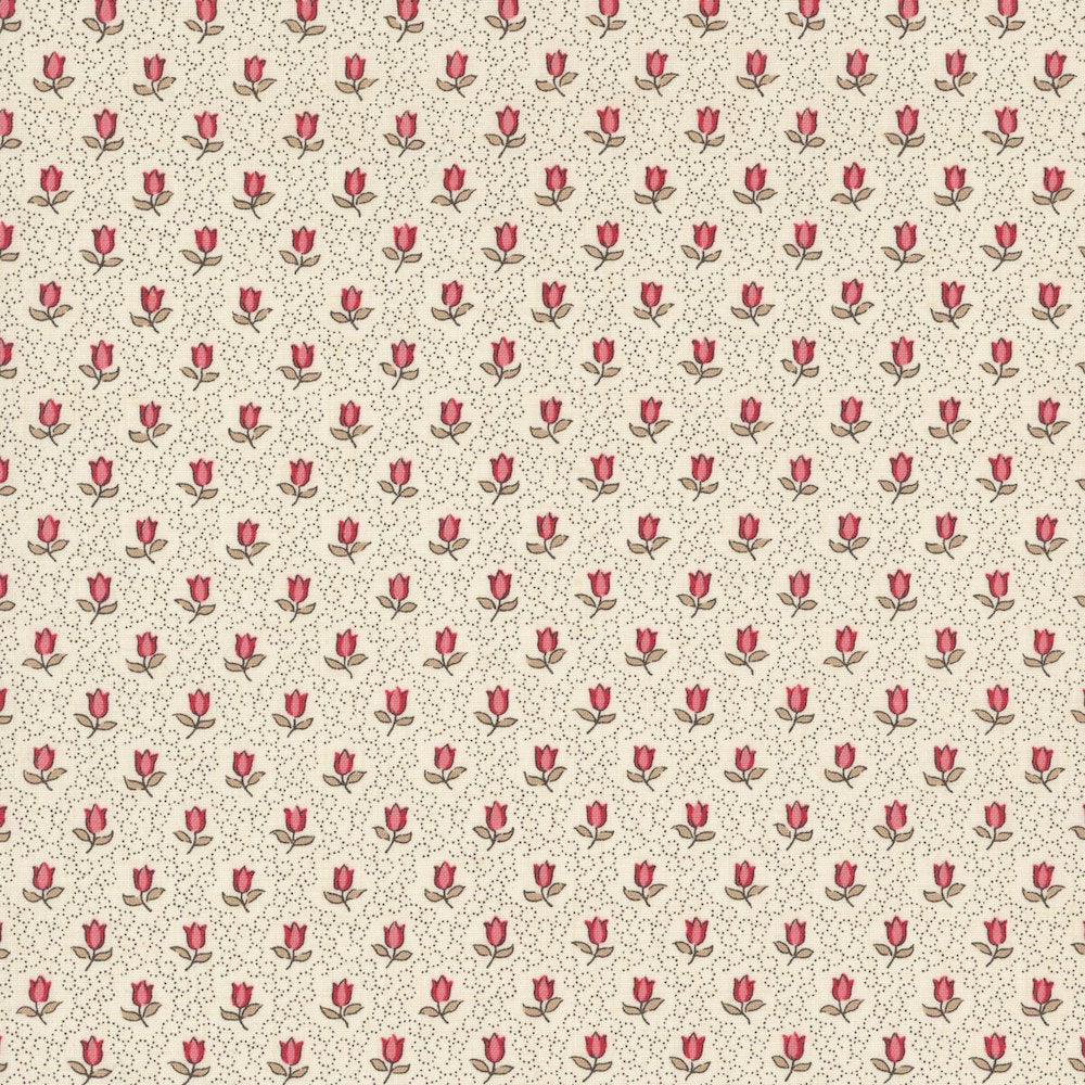 Antoinette Champagne in Pearl