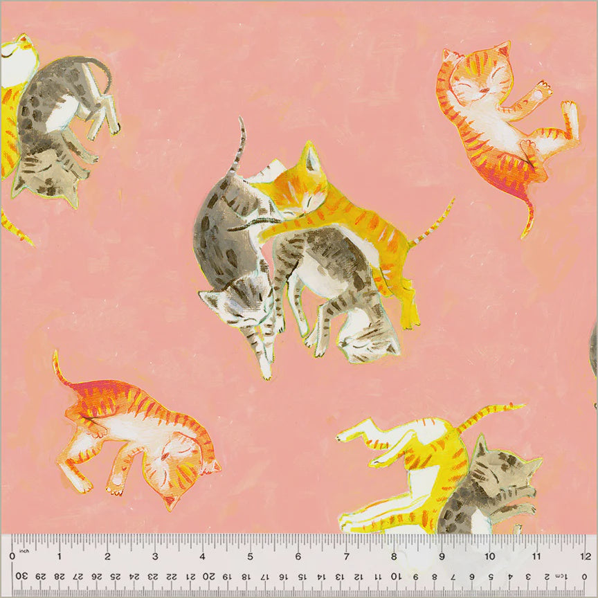 By Hand Barn Kittens in Salmon