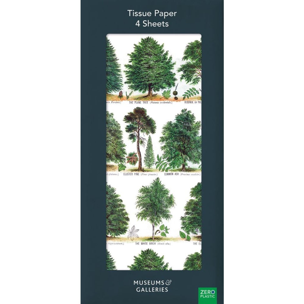 British Trees Tissue Paper x 4