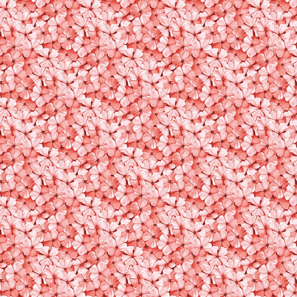 Sewing Seeds Phlox Petals in Pink