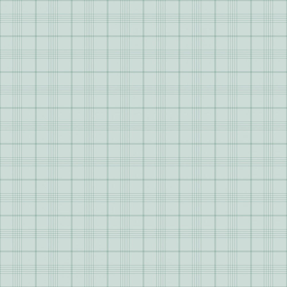 Peter Rabbit & Friends Plaid in Blue