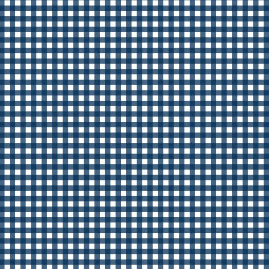 Gingham in Navy