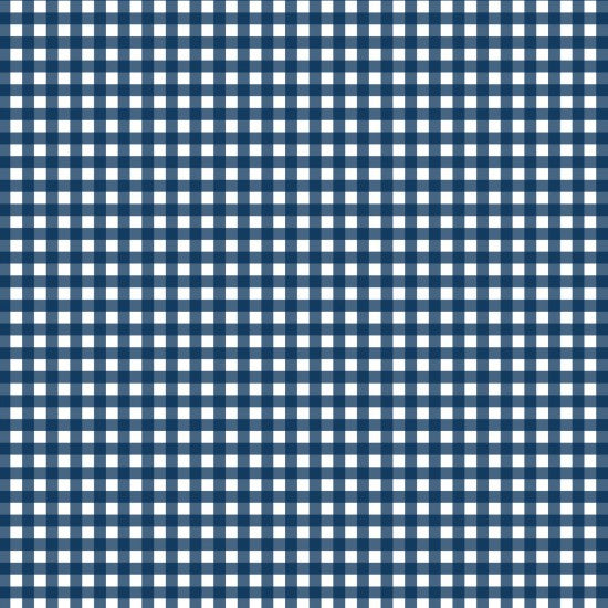 Gingham in Navy