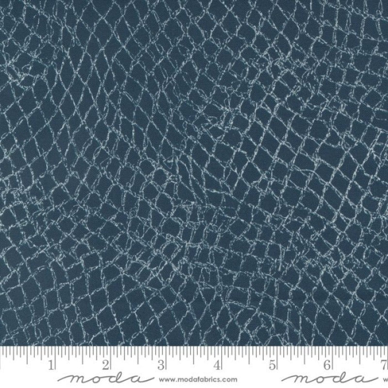 Longshore Net in Night