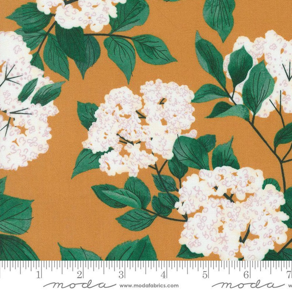 Love Letter Elderberry Blossoms in Amber