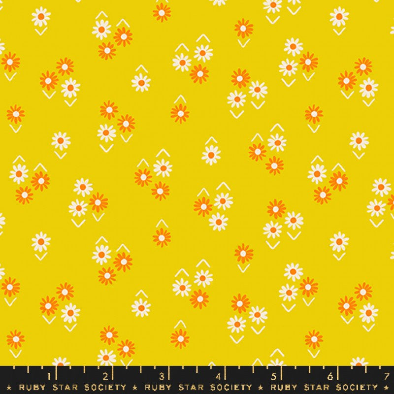 Juicy Baby Flowers in Goldenhour
