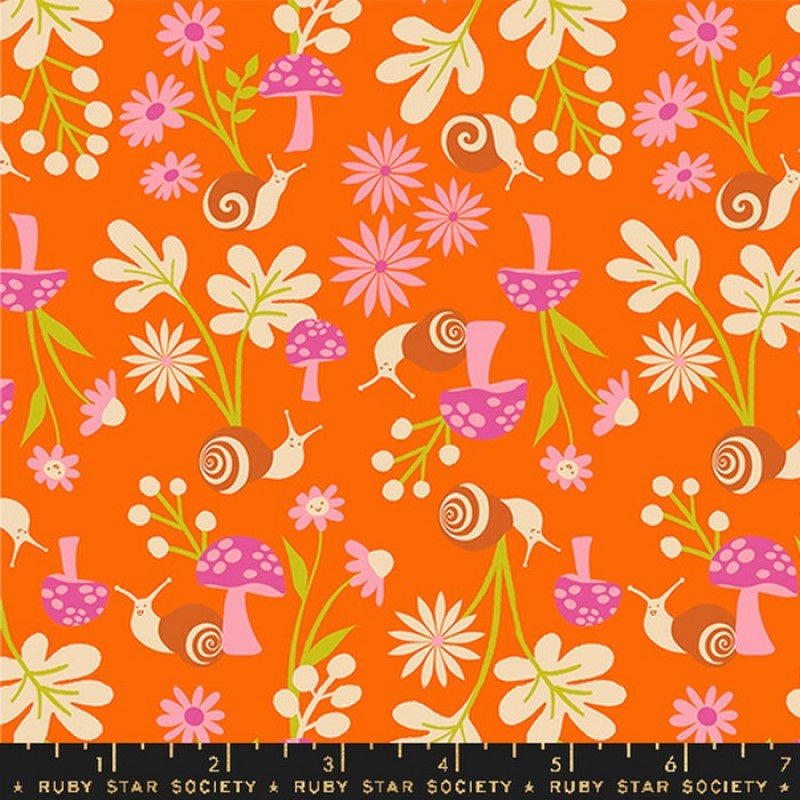 Animal Animal Snail Garden Goldfish