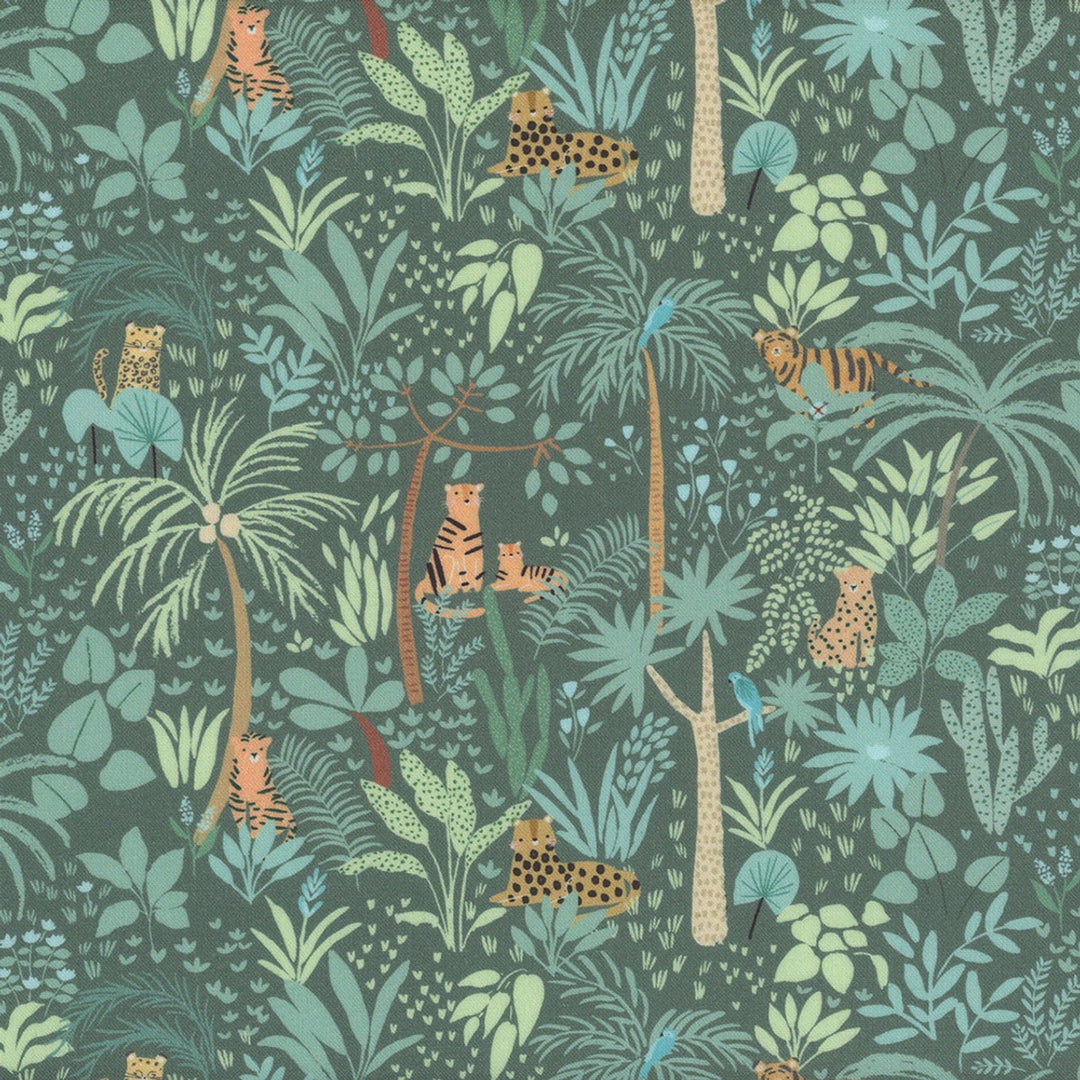 Grasslands Wild Cats in Pine