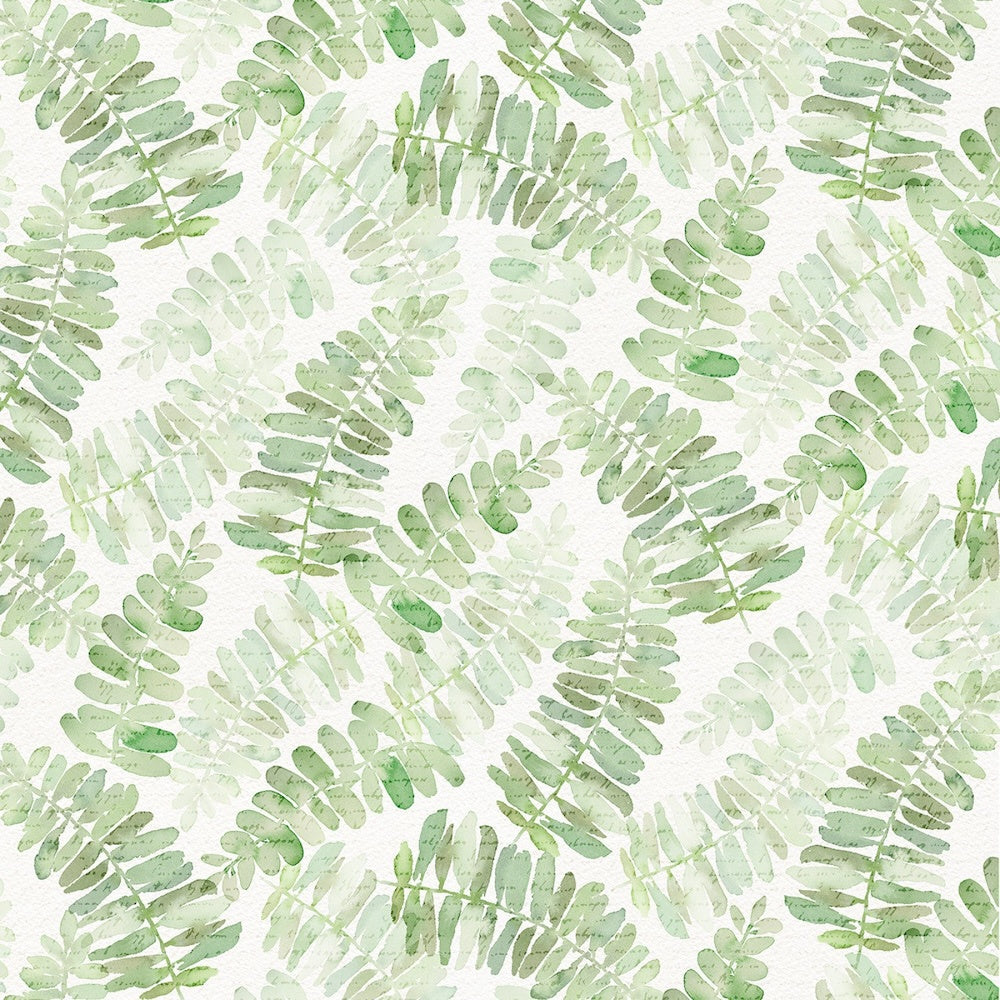 Sweet Magnolia Fern Toss on White