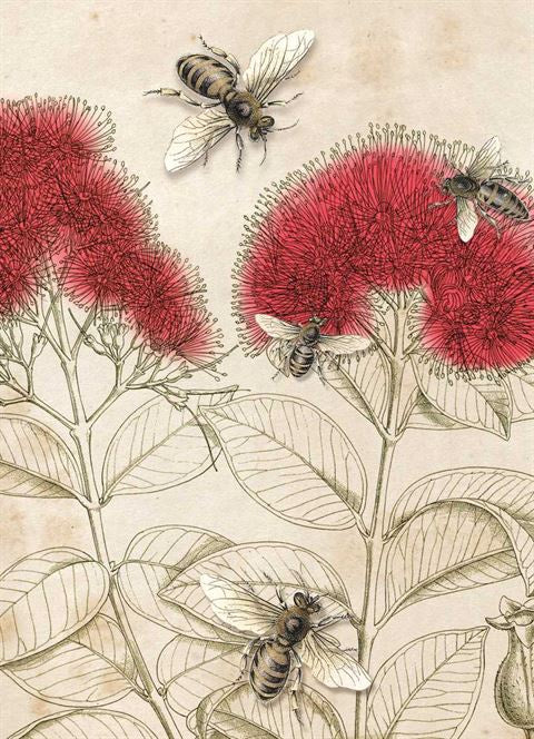 Lens and Screen Cloth - Pohutukawa and Bee