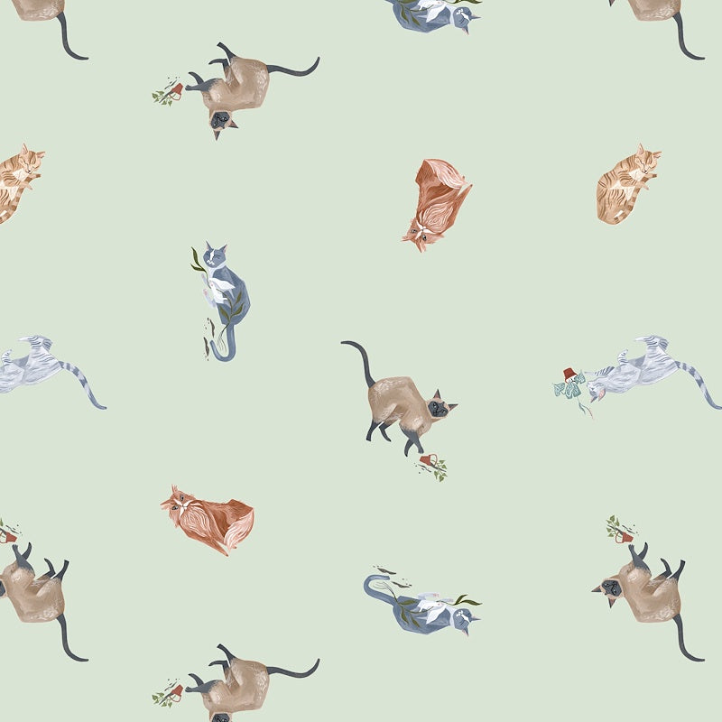 Fronds and Felines, Felines in Mist