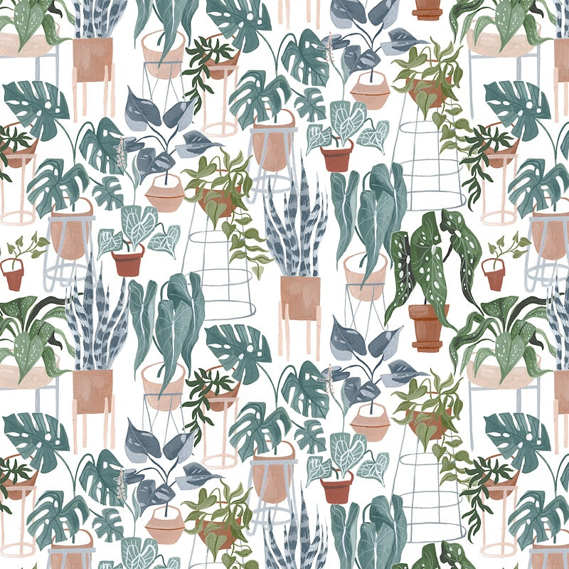 Fronds and Felines House Plants in White