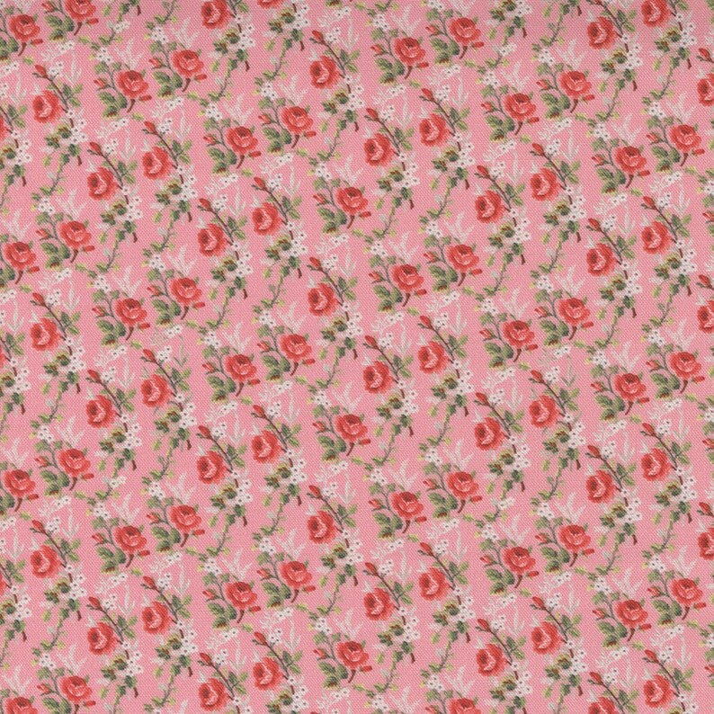 Leather & Lace and Amazing Grace Tiny Roses in Petal