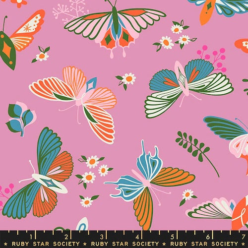 Stay Gold Flutter in Kiss