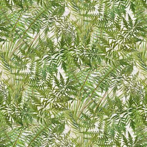 Tenderwood Fantastic Foliage