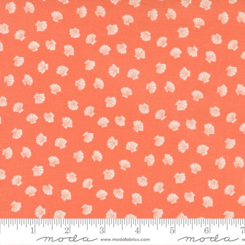 The Sea & Me Lucky Shell in Coral
