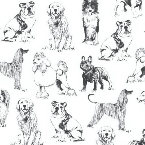 Sketched Dogs on White