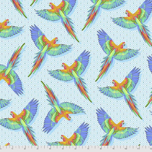Daydreamer - Macaw Ya Later in Cloud