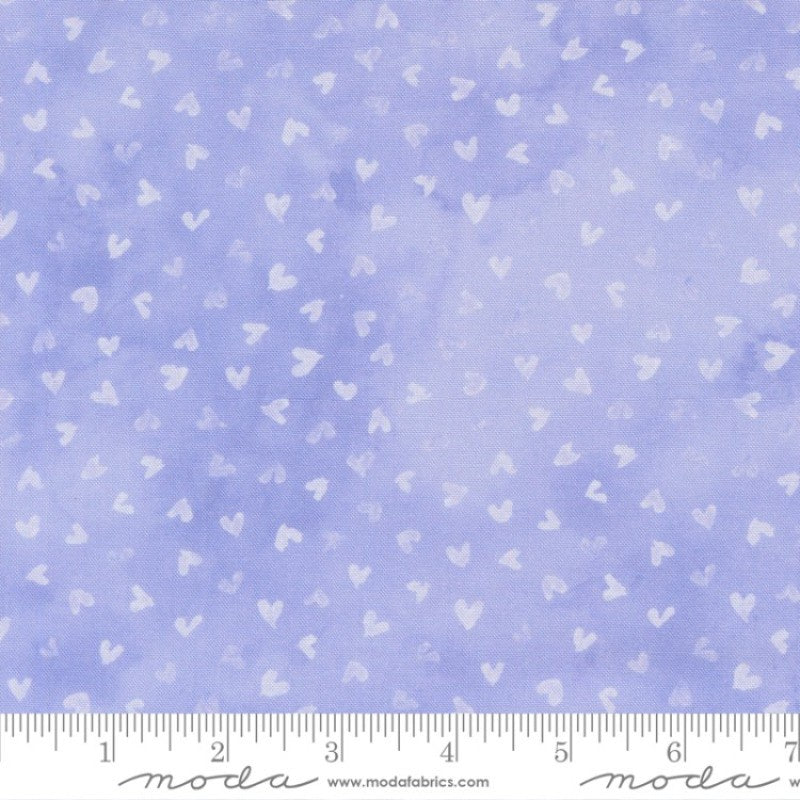 Delphinium Light Hearts in Lilac