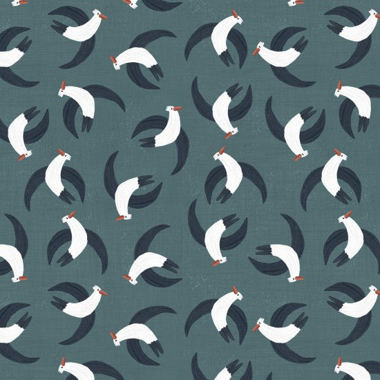 A Pirate's Adventure Mad Gulls