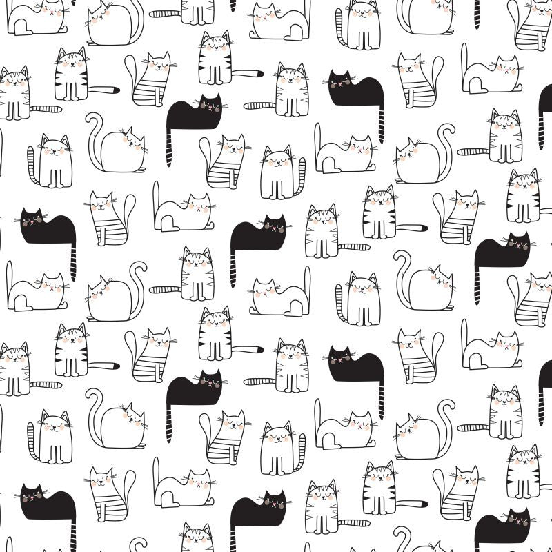 Are You Kitten Me - Cat Nap Time