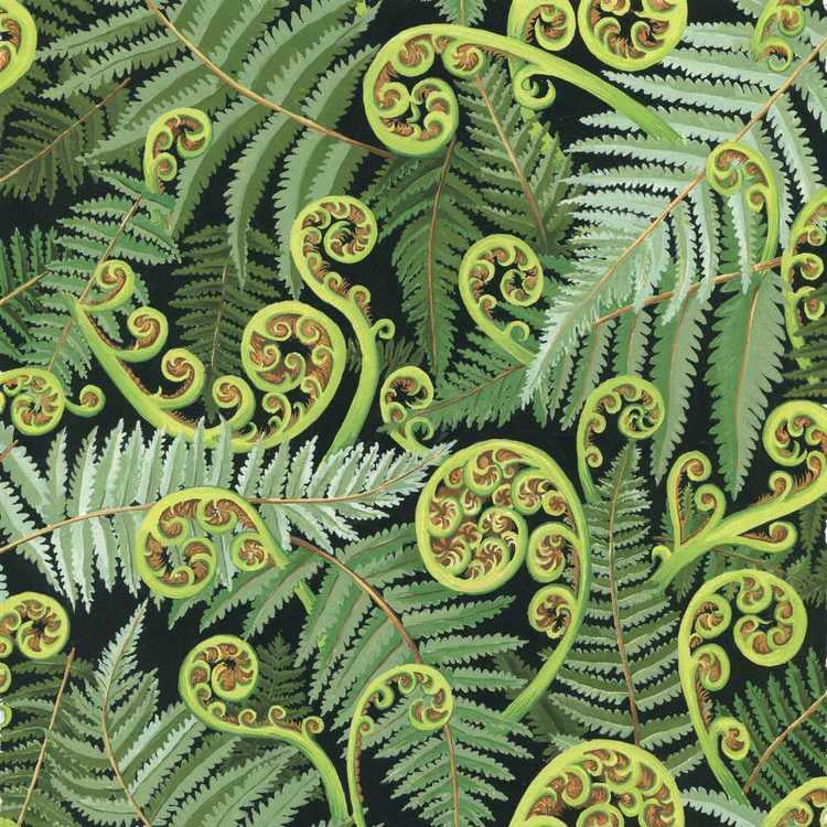 Koru Frond – Stitchbird