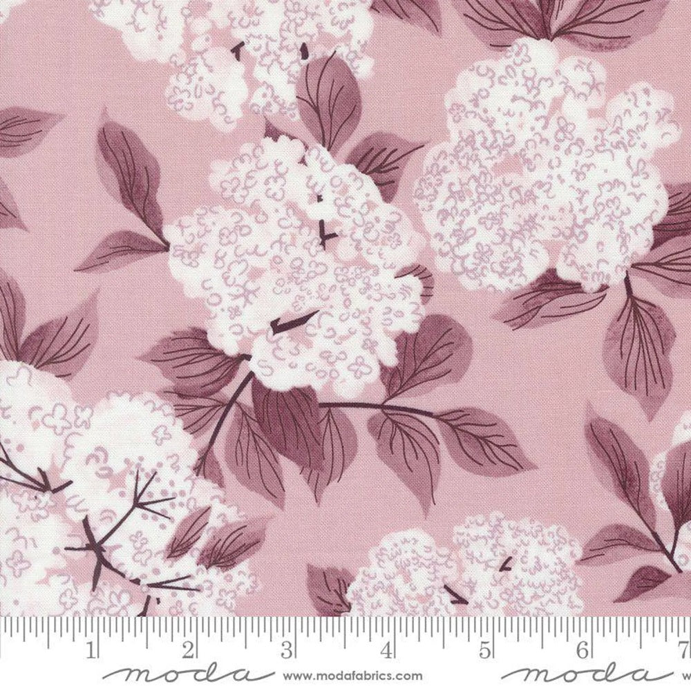 Love Letter Elderberry Blossoms in Mauve