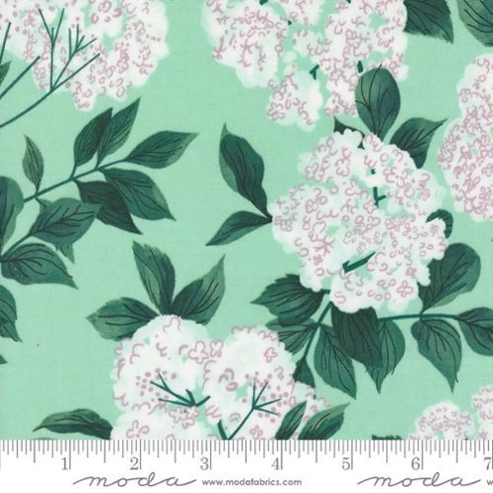 Love Letter Elderberry Blossoms in Seafoam