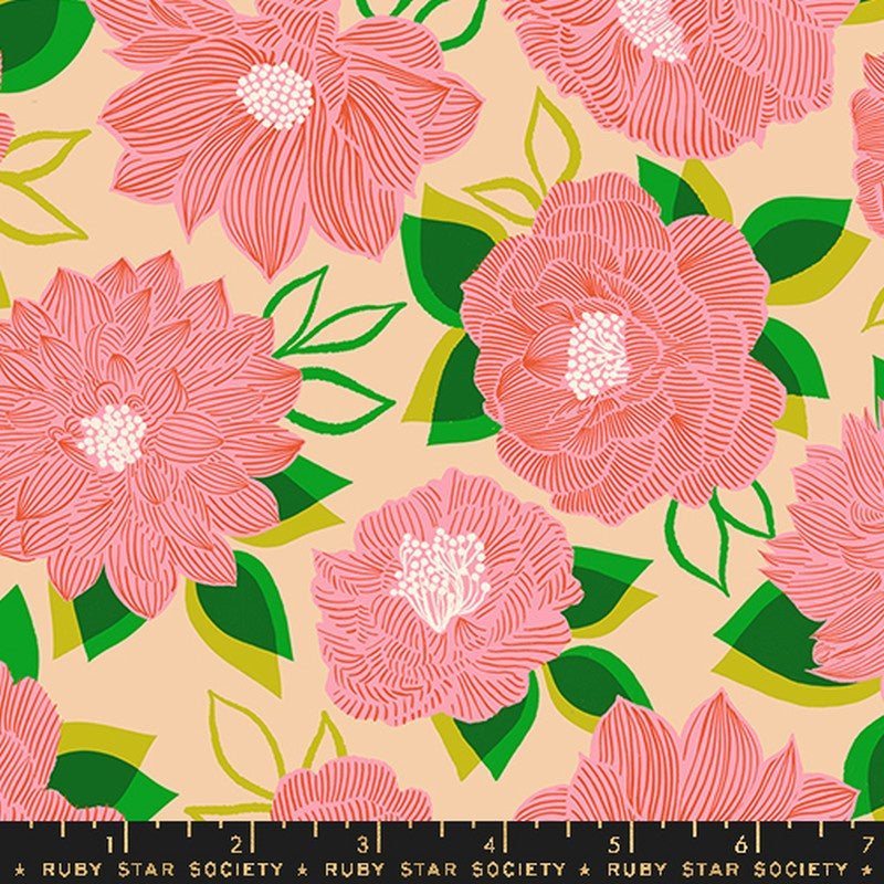 Favorite Flowers Blooming in Sorbet