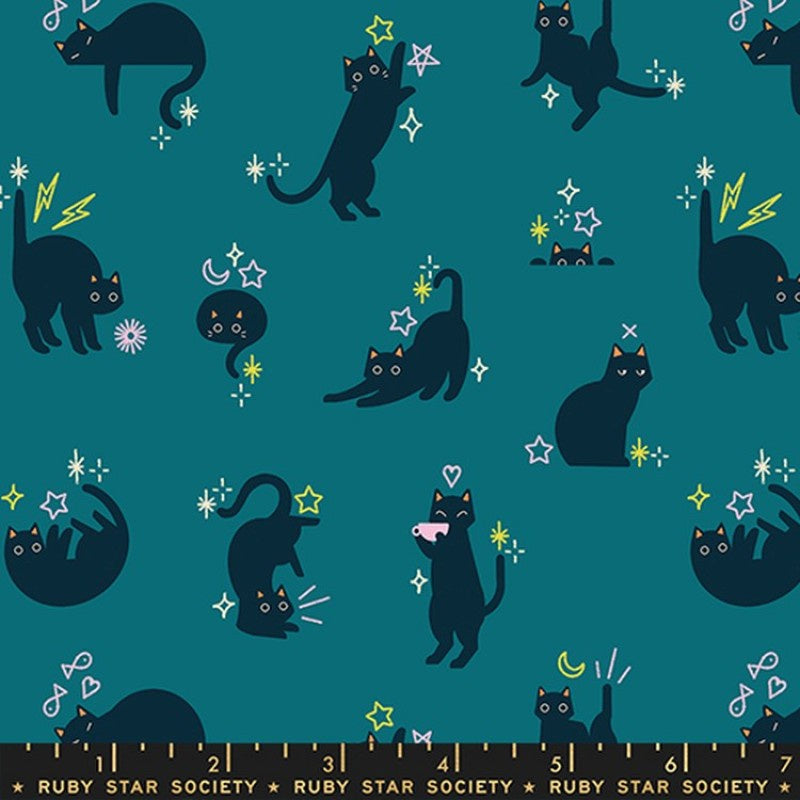 Freaky Familiars Catwalk in Storytime