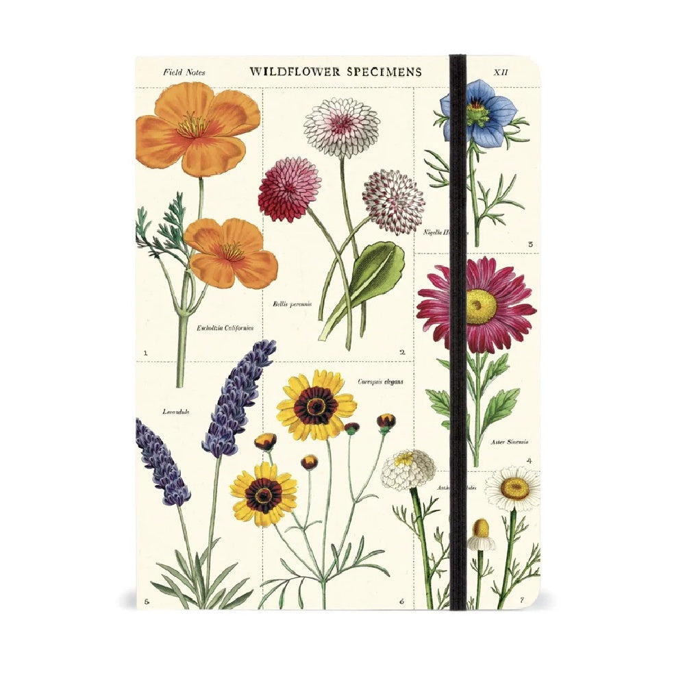 Cavallini Wildflowers Large Notebook