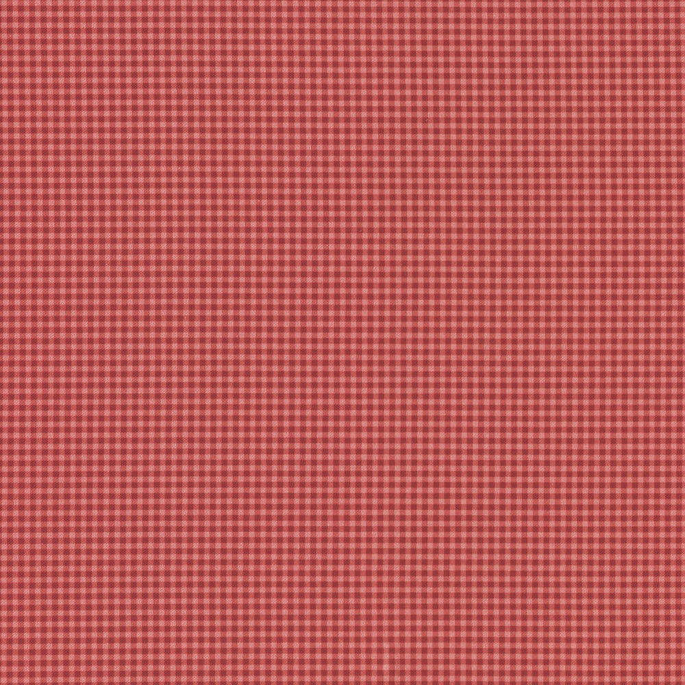 Petite Beehive Petite Gingham in Apple