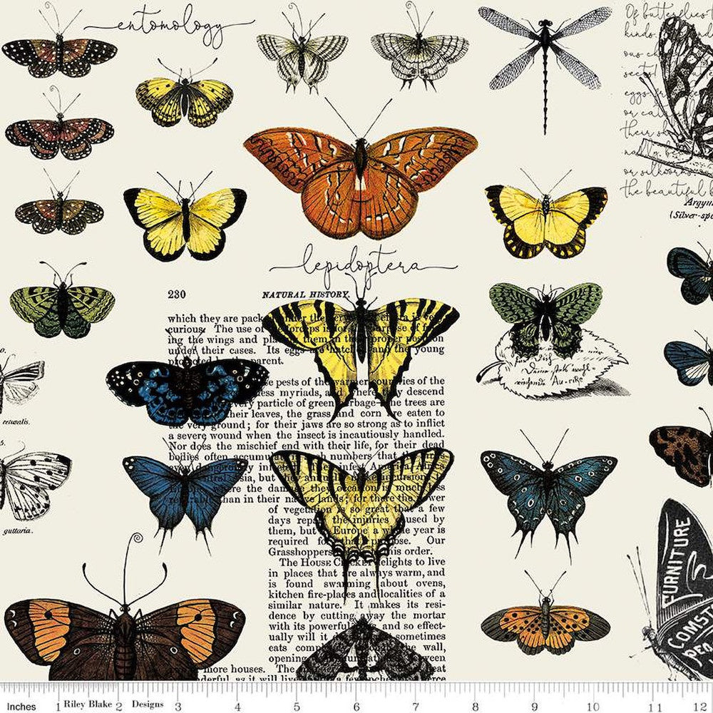 Art Journal Butterflies in Light Grey