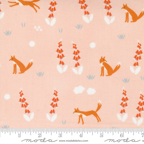 Meander Foxes in Blush