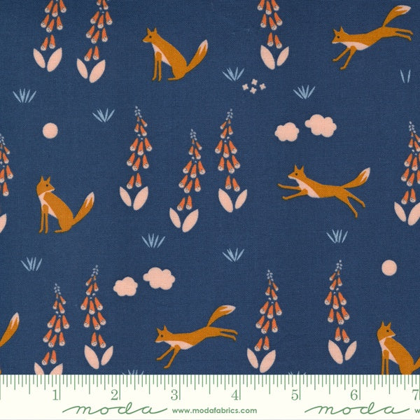 Meander Foxes in Navy