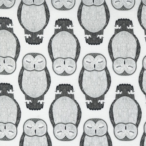 Nocturnal Sleeping Owls in Moon