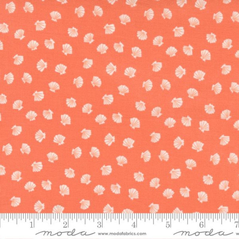 The Sea & Me Lucky Shell in Coral