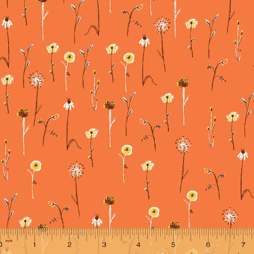 Far Far Away 3 Wildflowers in Orange